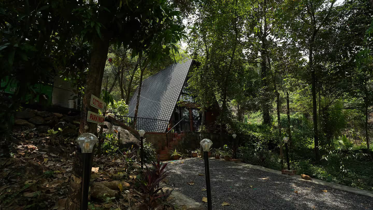 Escape to Nature's embrace in Thusharagiri